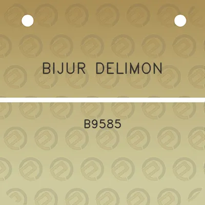 bijur-delimon-b9585