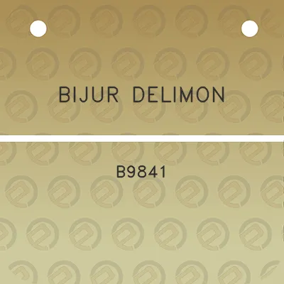 bijur-delimon-b9841