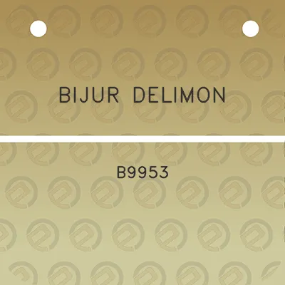 bijur-delimon-b9953