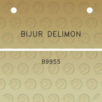 bijur-delimon-b9955