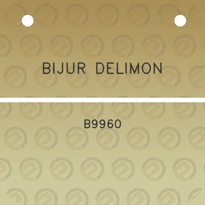 bijur-delimon-b9960