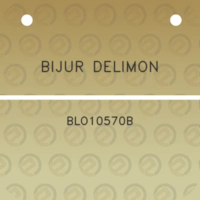 bijur-delimon-blo10570b