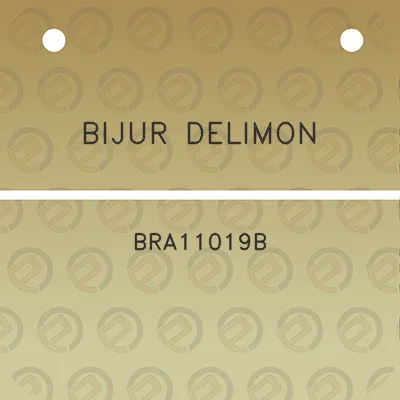 bijur-delimon-bra11019b