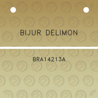 bijur-delimon-bra14213a