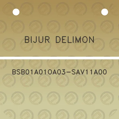 bijur-delimon-bsb01a01oa03-sav11a00