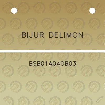 bijur-delimon-bsb01a04ob03