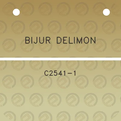 bijur-delimon-c2541-1