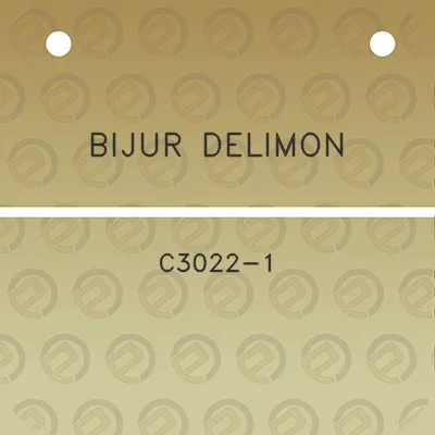 bijur-delimon-c3022-1