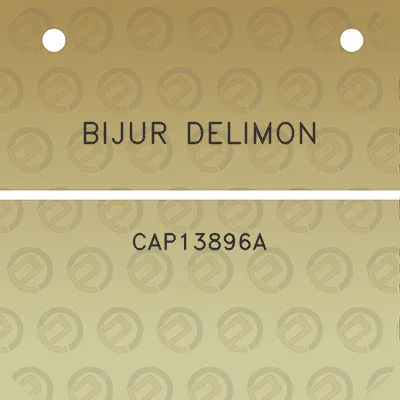 bijur-delimon-cap13896a