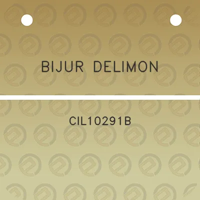 bijur-delimon-cil10291b