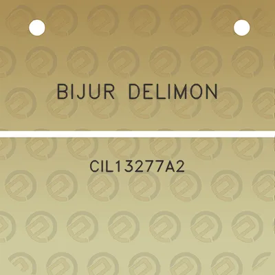 bijur-delimon-cil13277a2