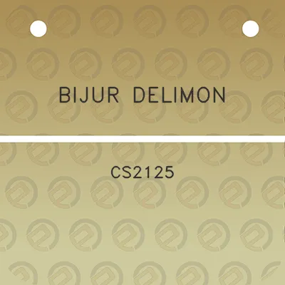 bijur-delimon-cs2125