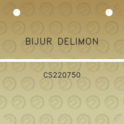 bijur-delimon-cs220750