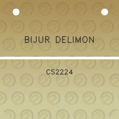 bijur-delimon-cs2224