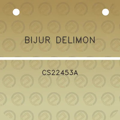 bijur-delimon-cs22453a