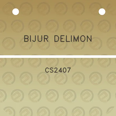 bijur-delimon-cs2407