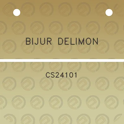 bijur-delimon-cs24101