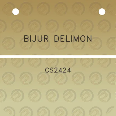 bijur-delimon-cs2424