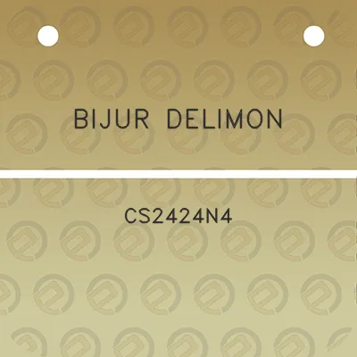 bijur-delimon-cs2424n4