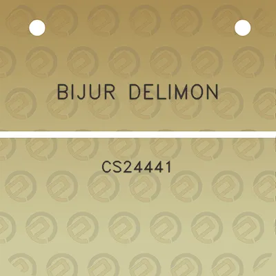 bijur-delimon-cs24441