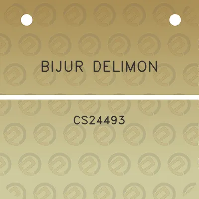 bijur-delimon-cs24493