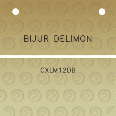 bijur-delimon-cxlm12db