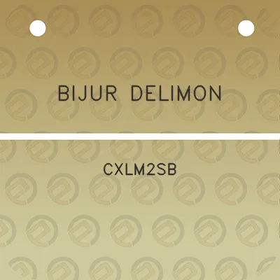 bijur-delimon-cxlm2sb