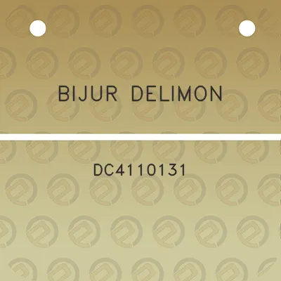 bijur-delimon-dc4110131