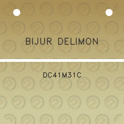 bijur-delimon-dc41m31c