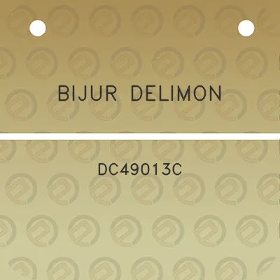 bijur-delimon-dc49013c