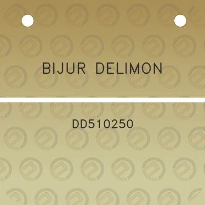 bijur-delimon-dd510250