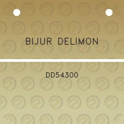 bijur-delimon-dd54300