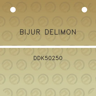 bijur-delimon-ddk50250