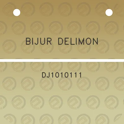 bijur-delimon-dj1010111