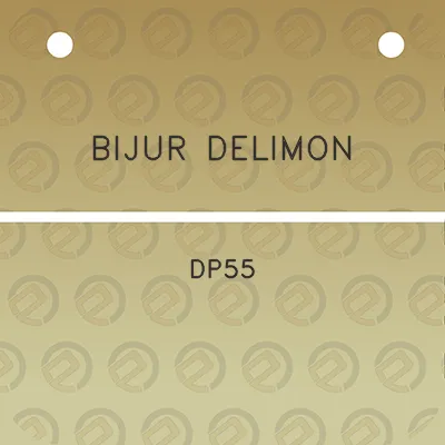 bijur-delimon-dp55