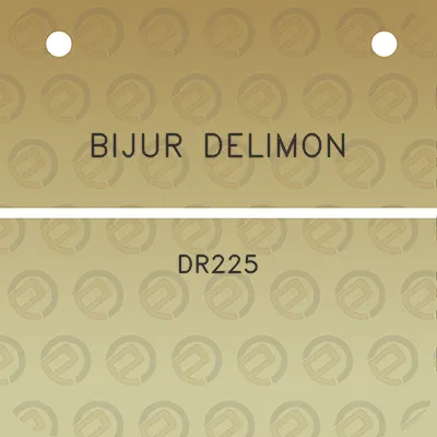 bijur-delimon-dr225