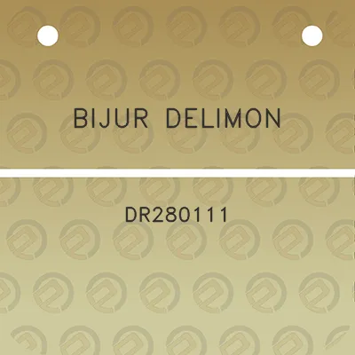 bijur-delimon-dr280111