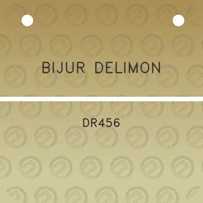 bijur-delimon-dr456