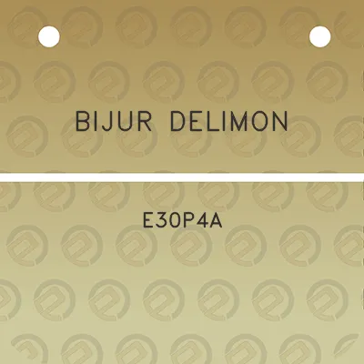 bijur-delimon-e30p4a