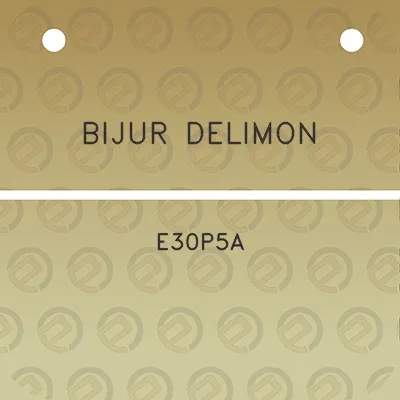 bijur-delimon-e30p5a