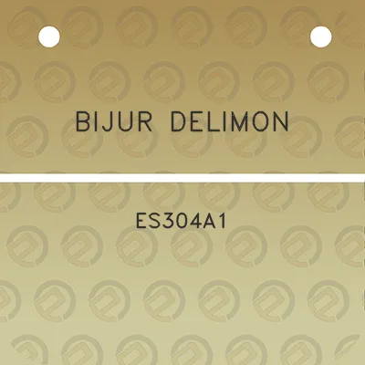 bijur-delimon-es304a1