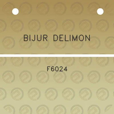 bijur-delimon-f6024