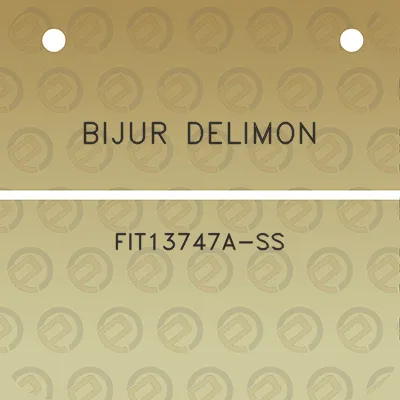 bijur-delimon-fit13747a-ss