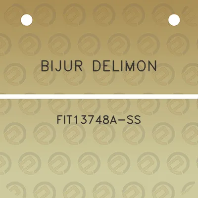 bijur-delimon-fit13748a-ss