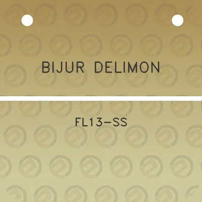 bijur-delimon-fl13-ss