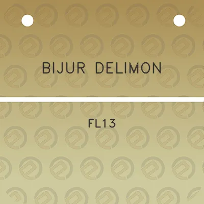 bijur-delimon-fl13