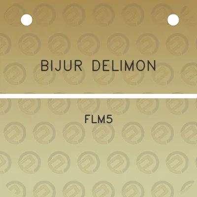 bijur-delimon-flm5