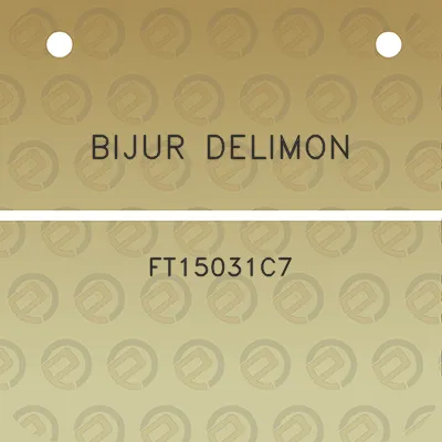 bijur-delimon-ft15031c7