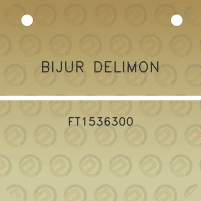 bijur-delimon-ft1536300