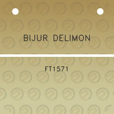 bijur-delimon-ft1571